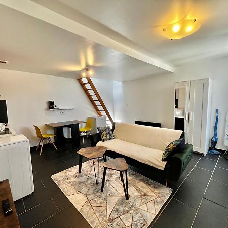 Studios Au Quartier Pavillonnaire Rue D Ambert Orleans Bagian luar foto